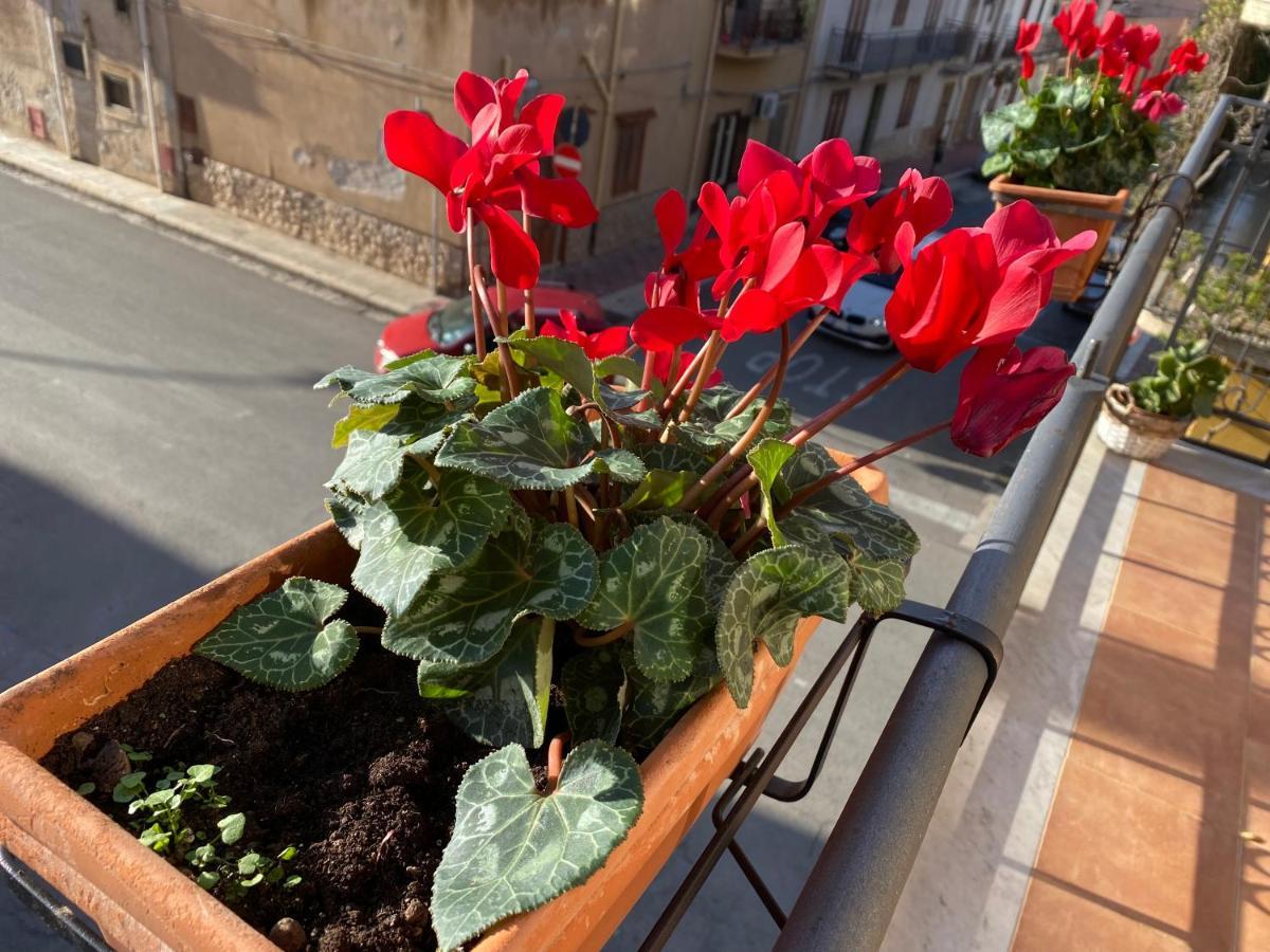Apartment In The Center Terrasini Exterior photo
